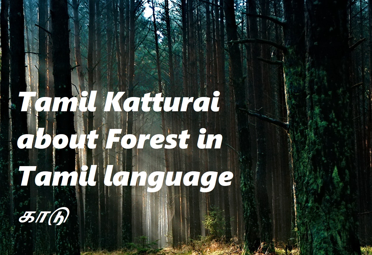 Tamil Katturai about Forest in Tamil language
