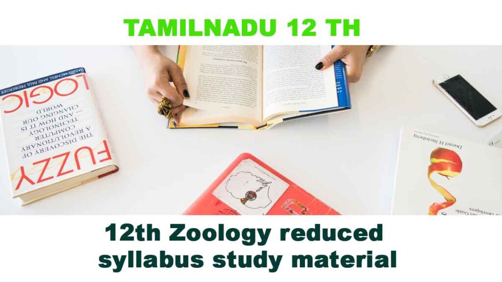 12th Zoology English Medium reduced syllabus study material