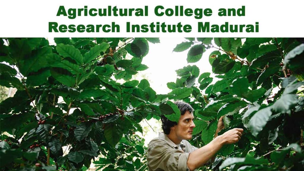 Agricultural College and Research Institute Madurai