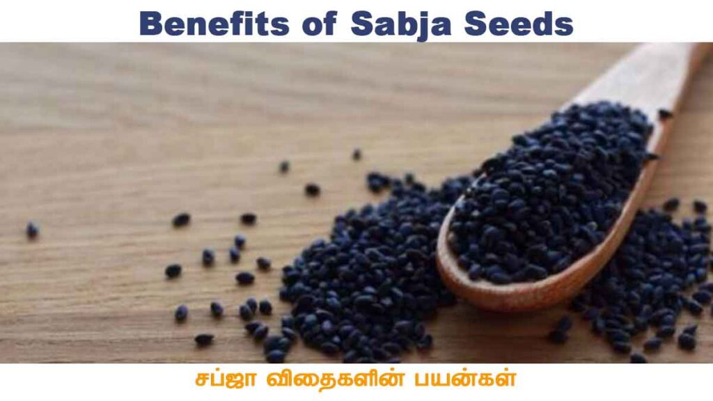 Sabja Seeds in Tamil