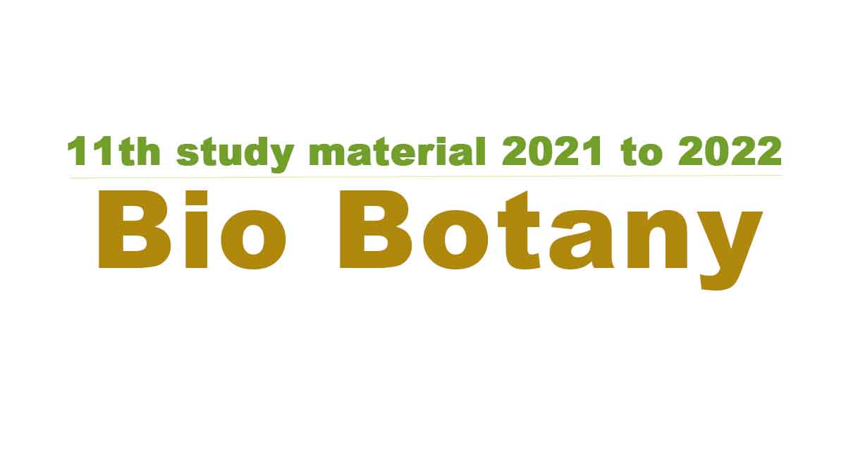 11th Bio Botany study material 2021 to 2022