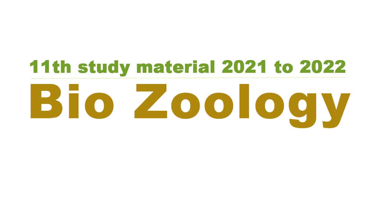 11th Bio Zoology study material 2021 to 2022