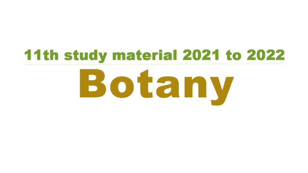 11th Botany study material 2021 to 2022