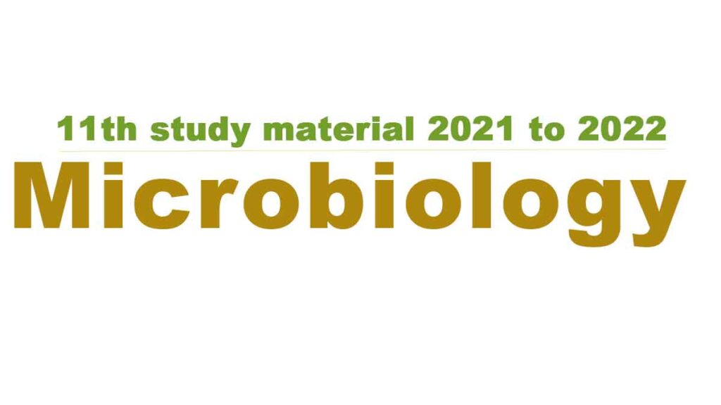 11th Microbiology  study material 2021 to 2022