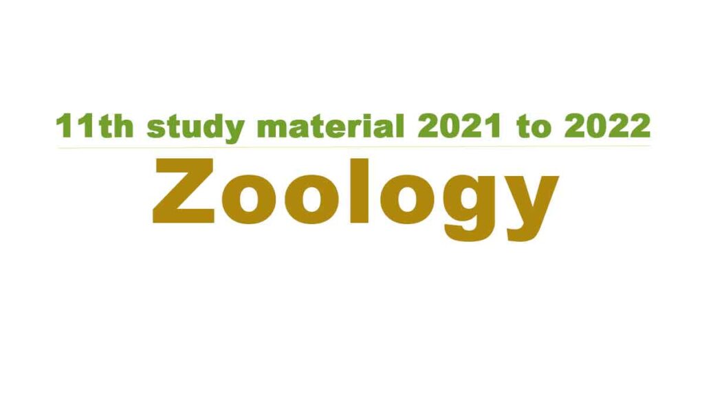 11th Zoology study material 2021 to 2022
