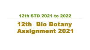 bio botany assignment