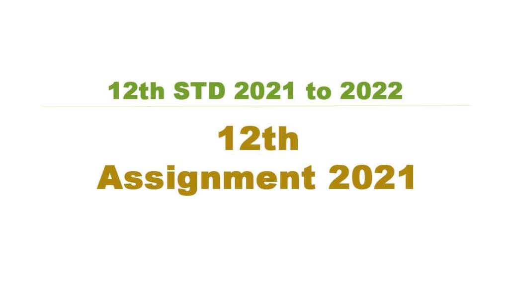 12th Std Assignment 2021 - Class 12 Full Assignment PDF Download