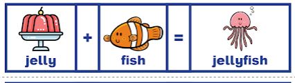 JELLY + FISH = JELLY FISH