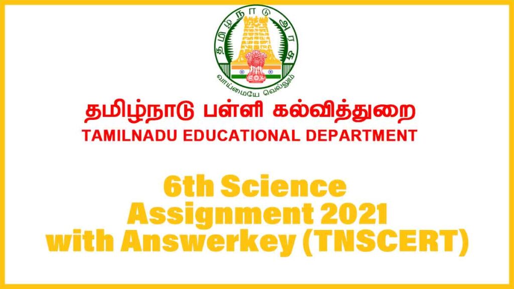 TN 6th Assignment (Answerkey) TNSCERT 2021