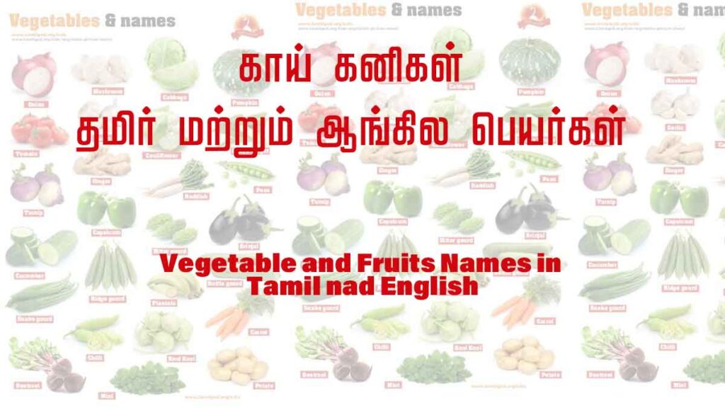 vegetable names in tamil and English