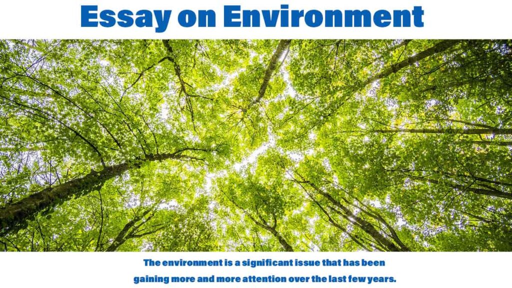 essay about environment in tamil