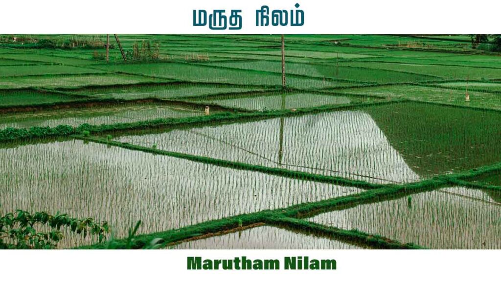  மருதம் நிலம் - Marutham Nilam 