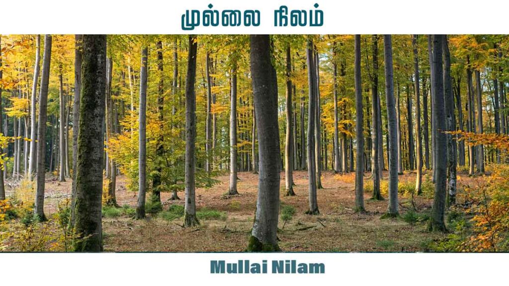  முல்லை நிலம் - Mullai Nilam 