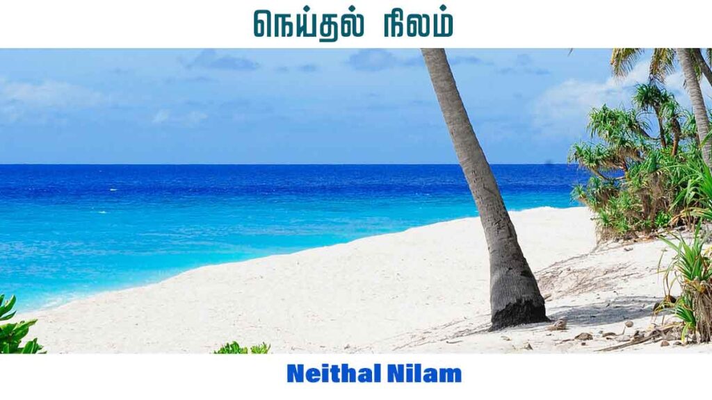  நெய்தல் நிலம் - Neithal Nilam