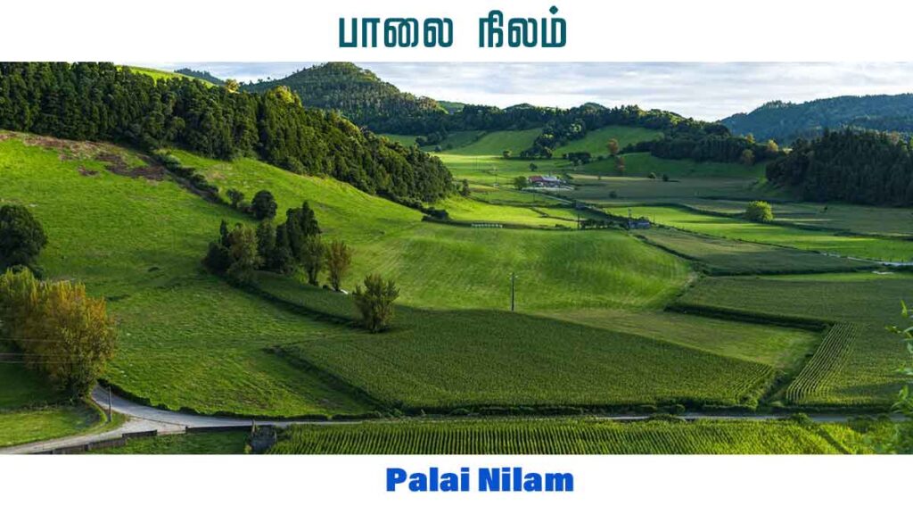  பாலை நிலம் - Palai Nilam 