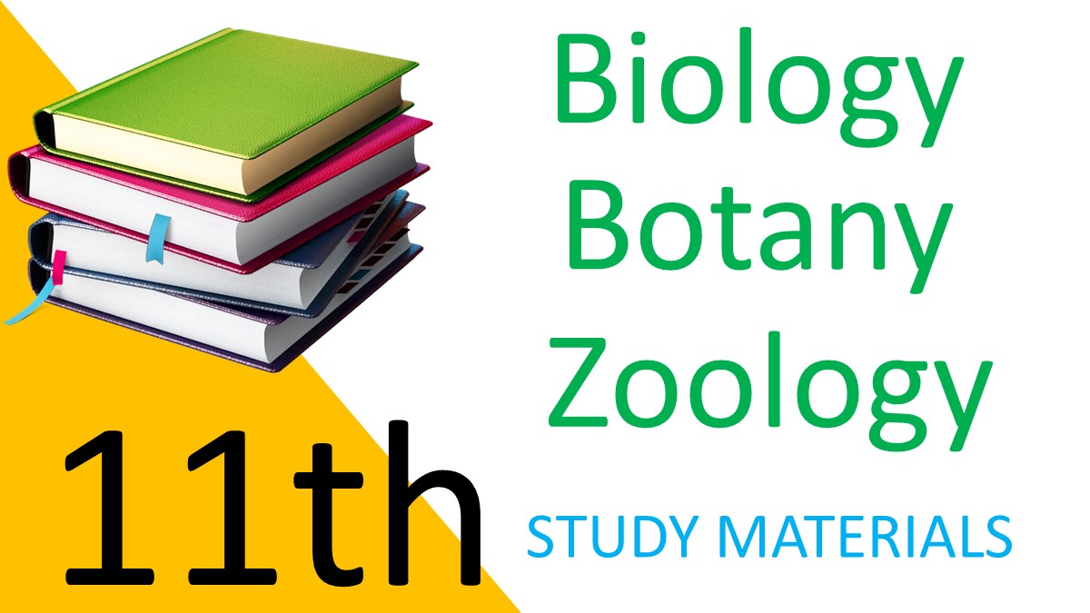11th Biology, Botany,Zoology Study Materials 2022